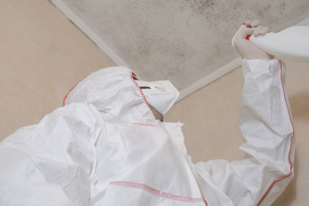 Best Certified Mold Removal  in Bangs, TX