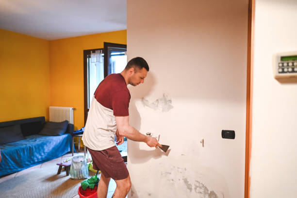 Best Professional Mold Removal  in Bangs, TX