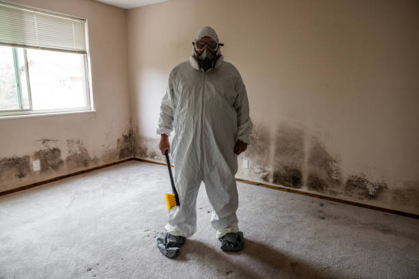 Best Residential Mold Removal  in Bangs, TX